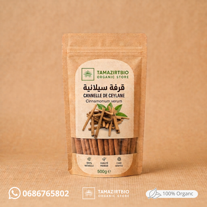 La vraie cannelle de Ceylan, Cinnamomum verum.